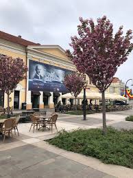 Principii ce guvernează misiunea şi viziunea ins eficienţa în raport cu procesele statistice angajamentul cu privire la calitatea produselor statistice Ristretto Picture Of Ristretto Oradea Tripadvisor