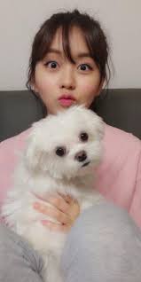 Kim Sohyun Selebritas Burung