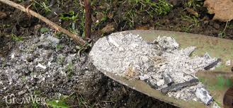 Grilling on grass is safer than grilling on a deck. Using Wood Ash In The Vegetable Garden