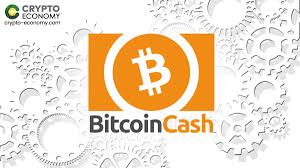 Currently, the btc/inr live price suggests that bitcoin (btc) is trading at rs 3601002.45 with btc price up by 3.82% today. Bitcoin Cash Bch Bitcoin Com Published Worries About November Update On Bitcoin Cash Network Crypto Economy