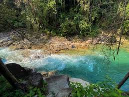 #beautifulterengganumalaysia #amazingterengganu #staysafe #kitajagakita #latakolamairderuecopark #travel #travelblogger #instatravel #fun #waterfall #tourism #tourist. Lain Macam Sungai Warna Hijau Lata Kolam Air Deru Ecopark Bikin Kaki Nature Jatuh Cinta Libur
