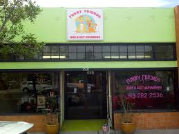 He is a very sweet boy and loves his cuddles. Pet Groomers San Diego Pet Groomer Near Me Furry Friends Dog And Cat Grooming
