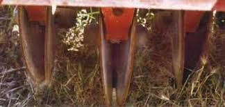 Image result for one way disc with seeder