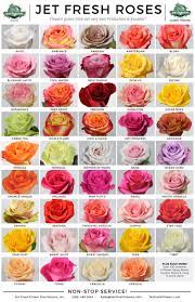 The language of flowers alphabetical by flower meaning. Rose Flower Colour Name Novocom Top