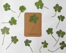 Pin On Four Leaf Clover Keychain