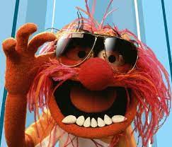 Muppets Characters Google Images Muppets Animal Muppet The Muppet Show