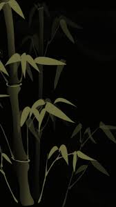 Bamboo Wallpaper Hd Nature Wallpapers Backgrounds Phone Wallpapers Unique Wallpaper