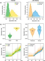 Image result for Corydalis mildbraedii
