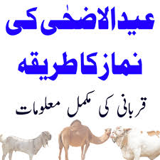 Hi @yuanbaobei, i'm sorry you're having such difficulty on your first experience. About Eid Ul Adha Ki Namaz Ka Tarika In Urdu Google Play Version Apptopia