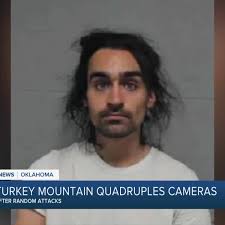 Turkey Mountain quadruples cameras after random attacks