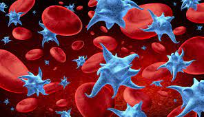 Thrombozyten, oder auch blutplättchen genannt, sind zelluläre bestandteile des blutes. Blutwert Thrombozyten Normwerte Erhoht Zu Niedrig
