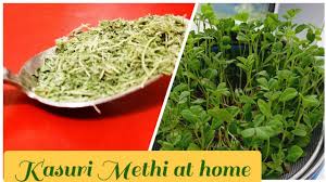 Outside of the subcontinent, you might call it dried fenugreek leaves. Homemade Dried Fenugreek Leaves Instant Kasuri Methi English Youtube