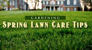 With lawnstarter, you can rest assured you're getting the best. The Best Lawn Jd Organic Landscape