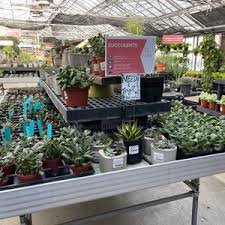 Come down and see us! Strange S Florists Greenhouses Garden Centers 87 Photos 56 Reviews Nurseries Gardening 12111 W Broad St Richmond Va United States Phone Number Yelp