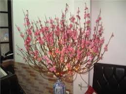 Chinese new year is the first day of the new year in the chinese calendar, which differs from the gregorian calendar. Lunar New Year Wishes Vietnamese 2019 With Traditional Flowers Chinese New Year Flower Lunar New New Year Wishes