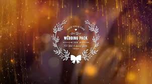 If you want to customize the free wedding titles even further, you can easily adjust each composition as needed. Top 35 Best Wedding Titles After Effects Templates Top Video Templates