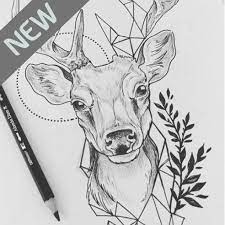Art Drawing Ideas Apk 1 4 Download Mobile Tech 360 In 2021 Deer Drawing Animal Drawings Art Drawings