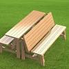 When you want to have picnic outside, this piece of furniture is your picnic table. 1