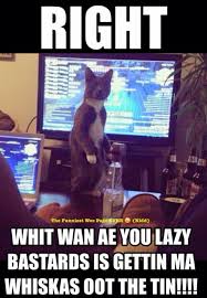 50 hilarious scotland memes of october 2019. Pin On Scottish Humour