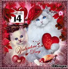Die valentinstag gifs animationen und grafiken können sie beispielsweise für einladungskarten. Valentins Cats Valentinstag Bilder Valentinstag Wunsche Valentinstag