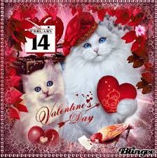 Hier kannst du dein ideales bild zum valentinstag finden und deinem schatz einen lieben gruß schicken. Valentins Cats Valentinstag Wunsche Valentinstag Bilder Valentinstag