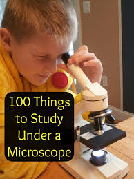 100 Things to Look at Under a Microscope
