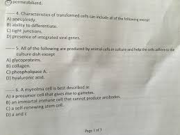 We did not find results for: Permeabilized 4 Characteristics Of Transformed Cells Chegg Com