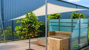 Frisches Obst Unter Dem Sonnensegel Outdoor Dekorationen Sonnensegel Terrassengestaltung