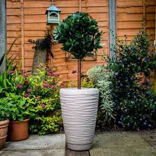 There's nothing a gloriously large plant can't fix when it comes to adding a dash of nature to your home and garden. Best Outdoor Plant Pots For Garden Patio Balcony Garden Pots