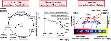 Eating foods high in fat, cholesterol, and sodium; Systolic And Diastolic Heart Failure Are Overlapping Phenotypes Within The Heart Failure Spectrum Circulation