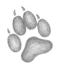Dogs Paw Tattoo Sketch 61 Ideas Paw Print Drawing Wolf Paw Print Art Drawings