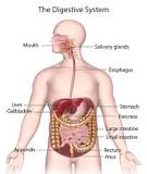 Image result