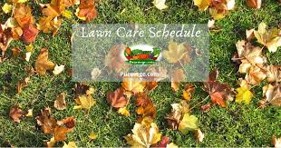 How to mow your lawn chop doc. Get A Lush Lawn With The Right Lawn Care Schedule