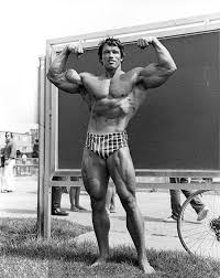Dieses modell kann auch in gipsfarbe oder bronze bestellt werden !!! Arnold Schwarzenegger Perfect Pose Ibb Indian Bodybuilding