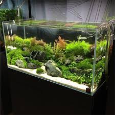 Best images about aquarium fish tank aquascape aquascape designs san francisco. 45 Stunning Aquarium Design Ideas For Indoor Decorations Page 26 Of 45 Soopush Aquarium Design Aquarium Aquarium Decorations