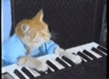 Meme Keyboard Cat Gif Meme Keyboard Cat Play Discover Share Gifs