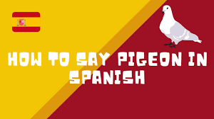 Stir fry for 3 minutes. How To Say Pigeon In Spanish Learn Spanish Youtube