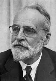 Image result for Vepris bremekampii