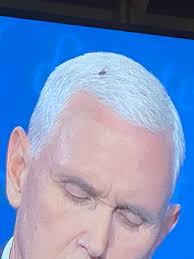 Bettemidler On Twitter Pence Had A Fly On His Hair Helmet Gotta Change That Hairspray Babe It S The First Time Women Have Ever Looked At Pence S Fly Https T Co Lzlis2gw7a
