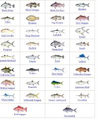 tropical fish temperature chart thelifeisdream