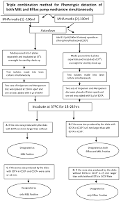 protocol and interpretation guidelines in flow chart format