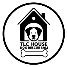 Tlc pet rescue is an organization for kittens, cats, puppies and dogs. Tlc House Dog Rescue Bali Home Facebook