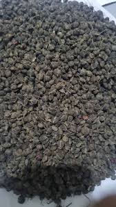 Image result for Alchornea occidentalis