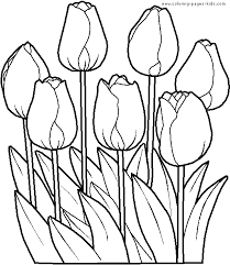 Tulips Color Page Flower Coloring Pages Spring Coloring Pages Tulip Colors
