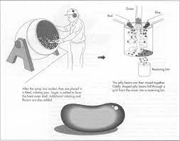 How Jelly Bean Is Made Ingredients Of Making Used Processing Parts Steps Product