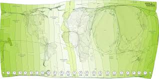 Us map clipart tennessee clipart state of tennessee clipart. A Brief Geography Of Time Worldmapper