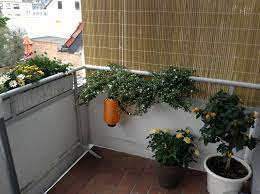 Schirm deinen balkon mit diesem sichtschutz ab, sodass ein zweites wohnzimmer entsteht. Seitlicher Sichtschutz Am Balkon Selbst Community