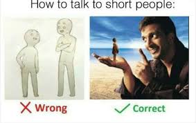 People who are short are capable of vocalizing themselves sho taller people can hear them. How To Talk To Short People 9gag