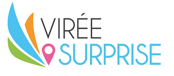 Résumé de le voyage surprise de noël. Viree Surprise Plus Qu Une Destination Un Voyage Surprise