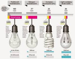 better lighting differences of incandescent halogen lamp